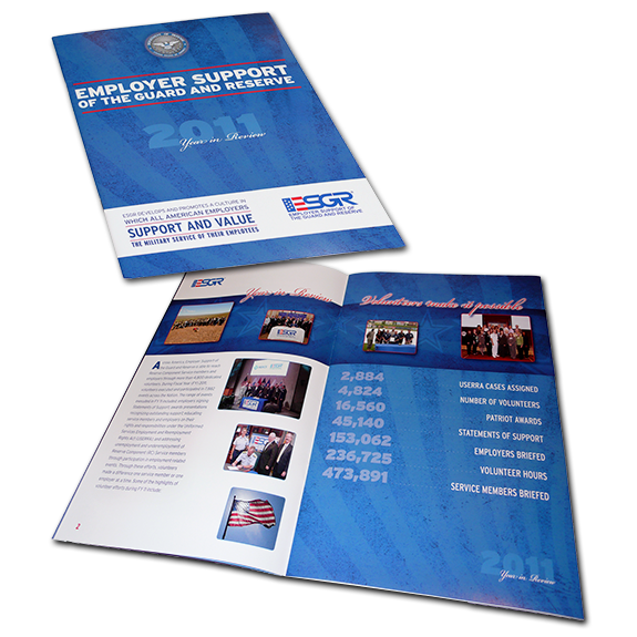 ESGR 2011 Annual Report